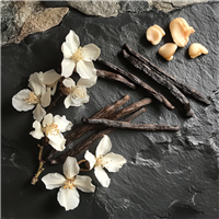 Vanilla Sex* Fragrance Oil 769