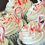Candy Cane Cupcake Fragrance Oil 15151