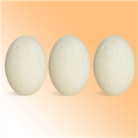 Clarifying Shampoo Bars Kit