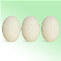Conditioning Shampoo Bars Kit