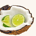 da Lime in da Coconut Fragrance Oil 15393