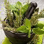 Rosemary Mint Fragrance Oil 16056