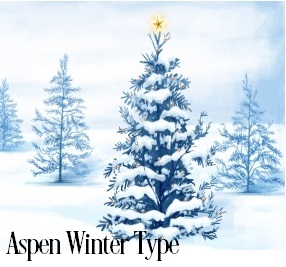 Aspen Winter* Fragrance Oil 19791