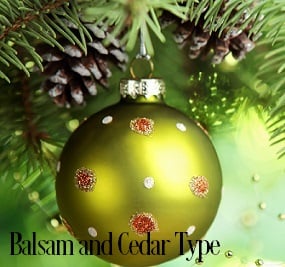 Balsam & Cedar Fragrance Oil for Soap and Candle Making - New York Scent