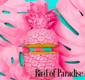 Bird Of Paradise Fragrance Oil 19825