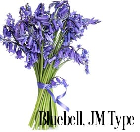 Bluebell (Wild)* Fragrance Oil 19841