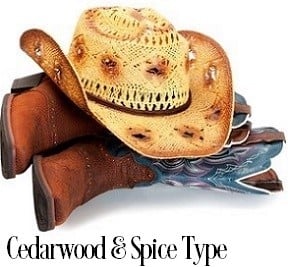 Cedarwood And Spices* Fragrance Oil 19893
