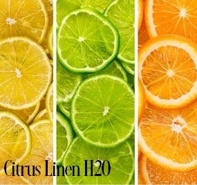 Citrus Linen H2O Fragrance Oil 19937