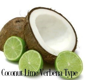 Coconut Lime & Verbena* Fragrance Oil 19951