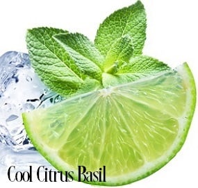 Cool Citrus Basil* Fragrance Oil 19959