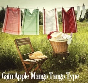 Apples Mangos Tango* Fragrance Oil 20029