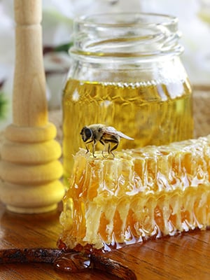 Pure Honey Fragrance Oil