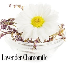 Lavender Chamomile Fragrance Oil 20106