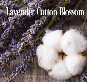 Lavender Cotton Blossom* Fragrance Oil 20107