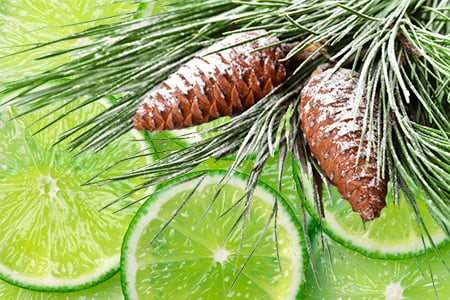 Pinecone & Lime* Fragrance Oil 15975