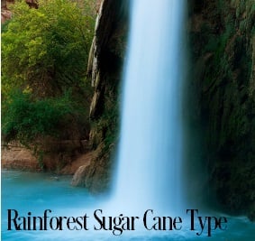 Rainforest Sugarcane* Fragrance Oil 20253