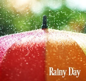 Rainy Day Fragrance Oil 20254