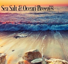 Sea Salt And Ocean Breezes Fragrance Oil 20287