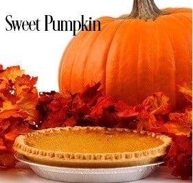Sweet Pumpkin Fragrance Oil 20337