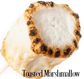 Toasted Marshmallow Fragrance Oil 20341