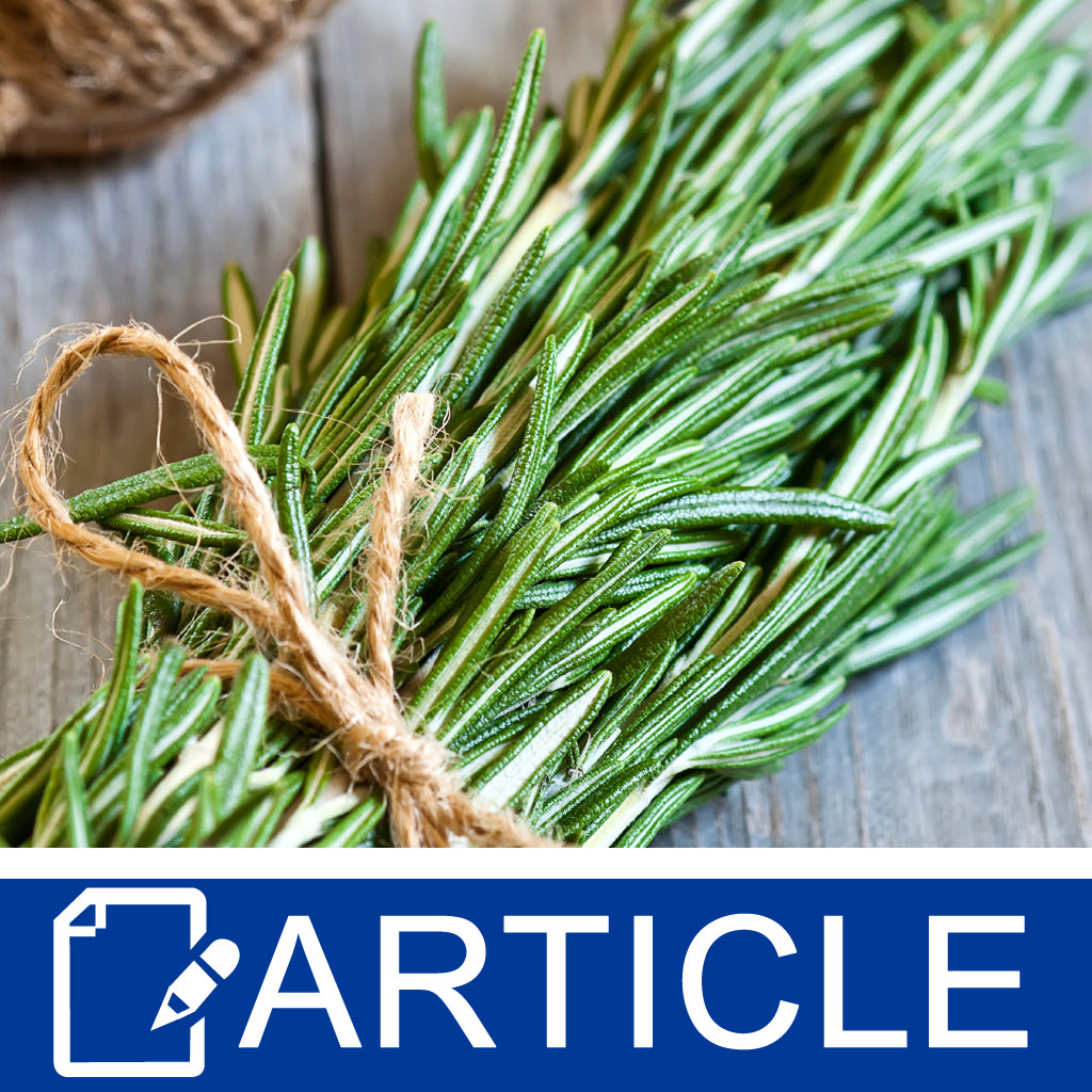 Rosemary In Skincare