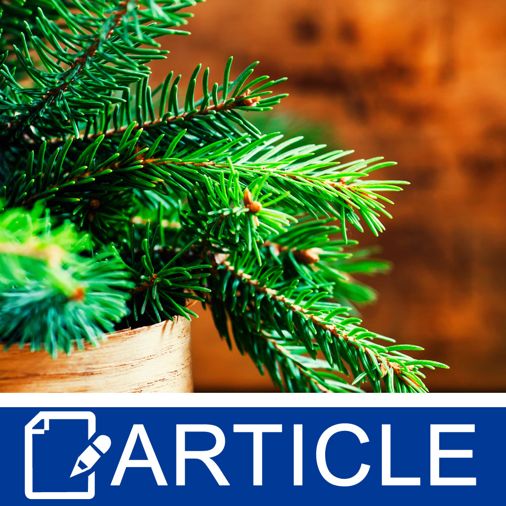 Evergreens. More Than Just Pine.