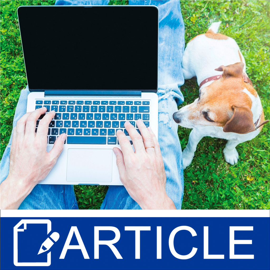 6 Ways to Use Summer as a Business Strategy