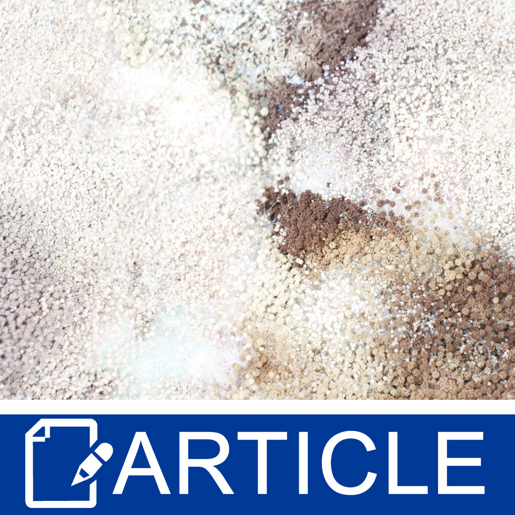 Fatty Acids and Rancidity