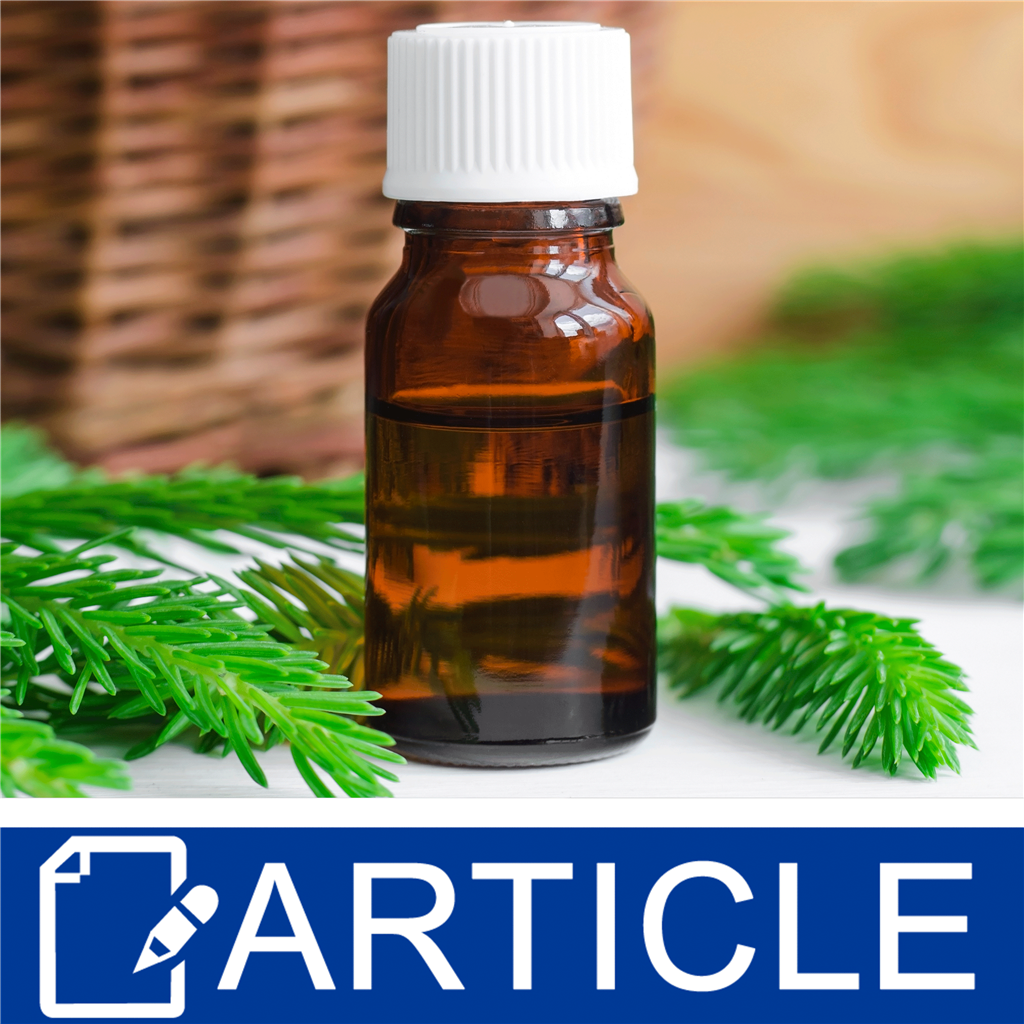 10 Essential Oils For A Happy, Healthy Holiday Home