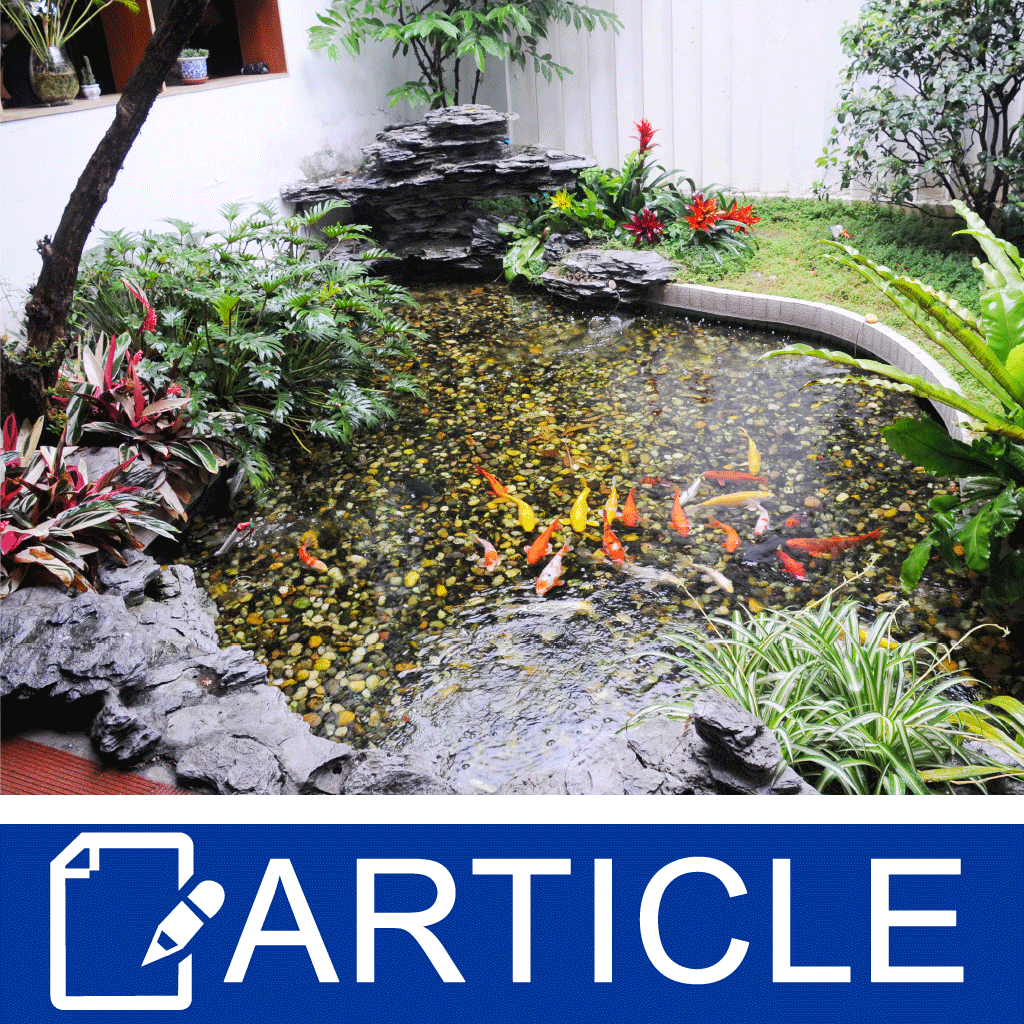 Gardening: 8 Reasons To Get Your Hands Dirty