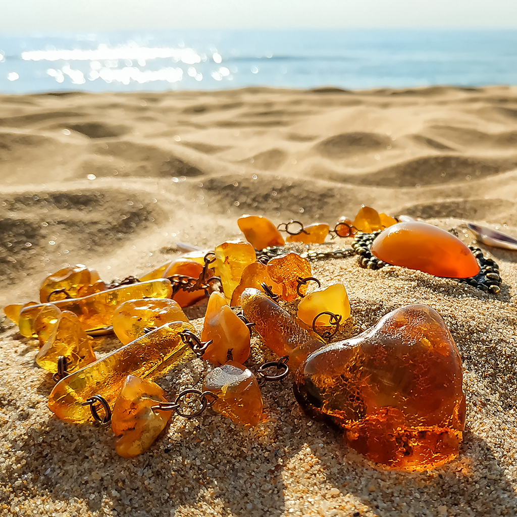 Amber & Musk Scent Family Fragrances