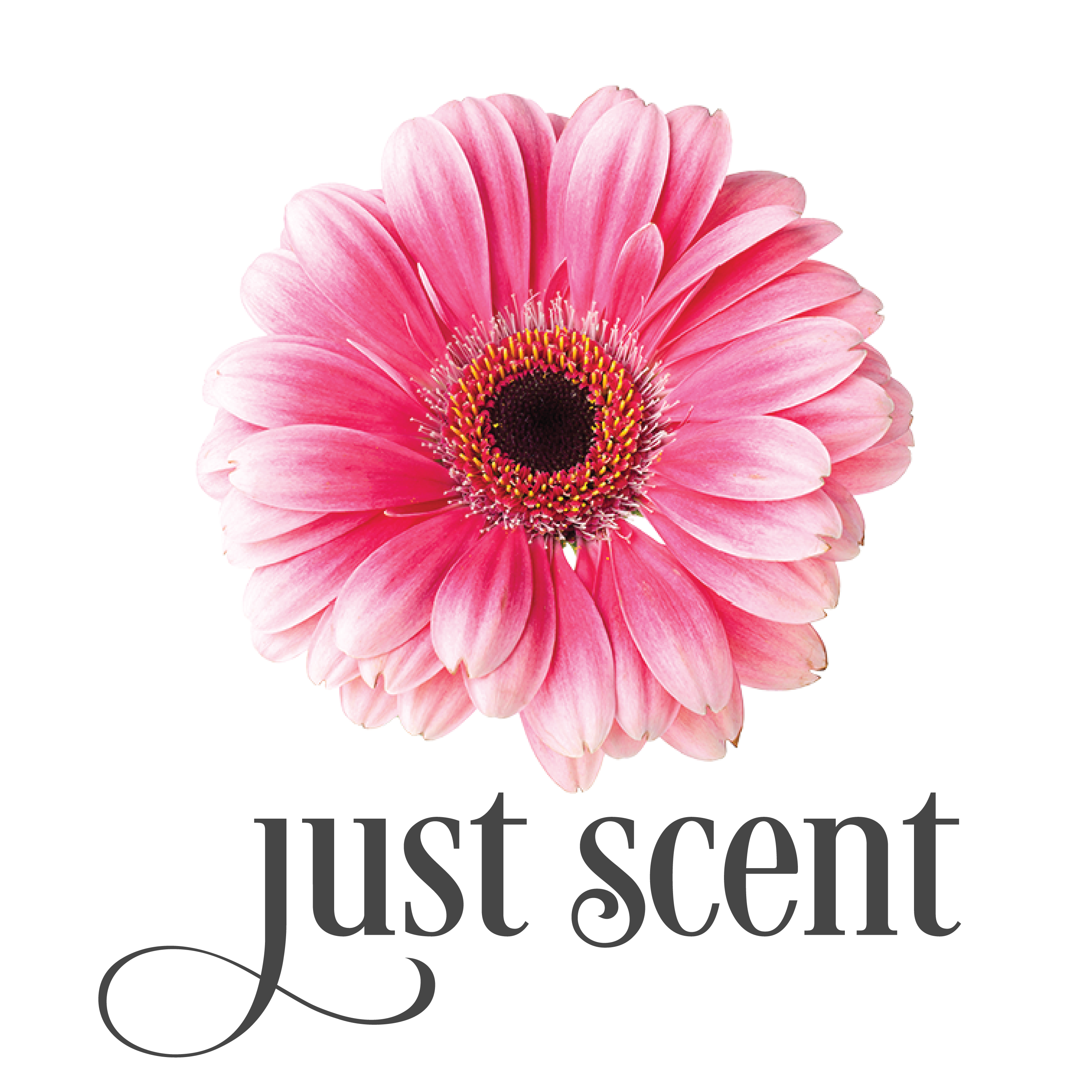 Just Scent