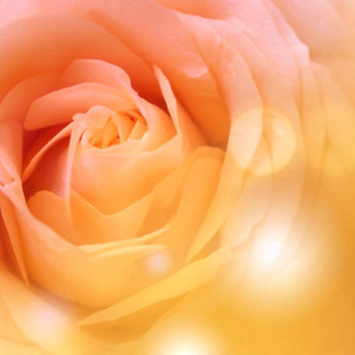 A to Z Fragrance Oils: W
