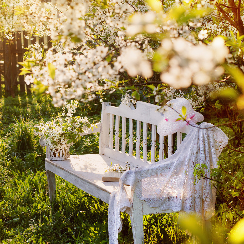 A to Z Fragrance Oils: Z