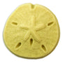 Sand Dollar Soap Mold (MW 166)