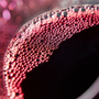 Blackberry Bordeaux Fragrance Oil - Zoom Thumbnail Media 1