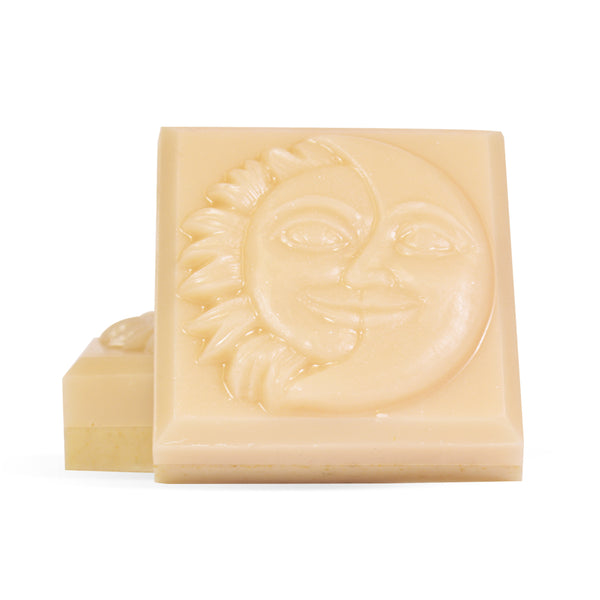 Harvest Pumpkin Soap Making Kit - Zoom Media 1