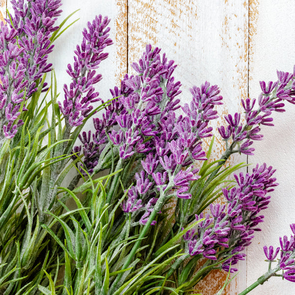 best lavender plant for essential oil Lavender Bulgarian Essential Oil - 100% Pure 721 - Crafter's Choice - Essential  Oils - for Soap & Candle Making - 2 fl oz