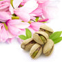 Pistachio & Magnolia Fragrance Oil 204