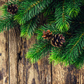 Applewood Fir Needle Fragrance Oil 394