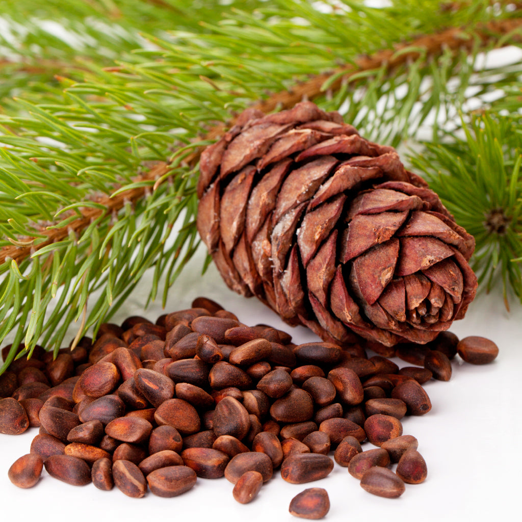 Cedar Bean Fragrance Oil 746