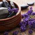 Black Amber & Lavender Fragrance Oil 489