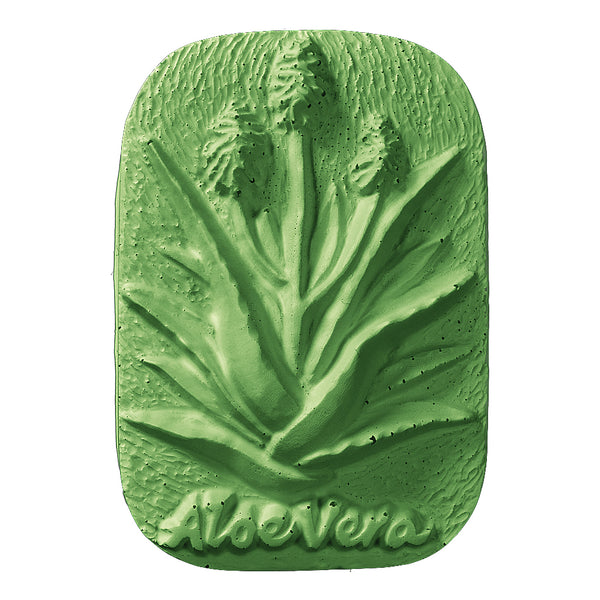 Aloe Vera Soap Mold - Zoom Media 1