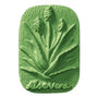 Aloe Vera Soap Mold - Zoom Thumbnail Media 1