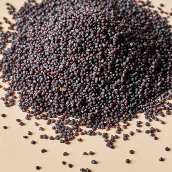 Poppy Seeds - Crafter's Choice - Exfoliants & Scrubs - for Soap & Candle  Making - 2 oz