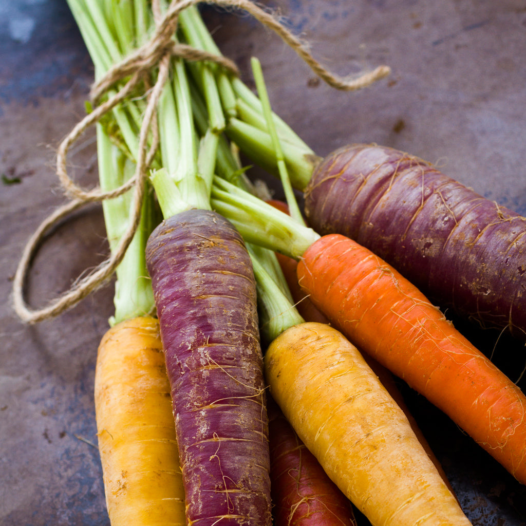 Purple Carrots Fragrance Oil