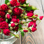 Sandalwood Rose Fragrance Oil 900
