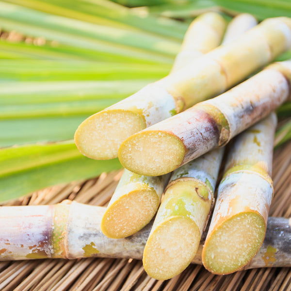 Sun Kissed Sugarcane Fragrance Oil - Zoom Media 1