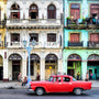 Havana Heat Fragrance Oil 915