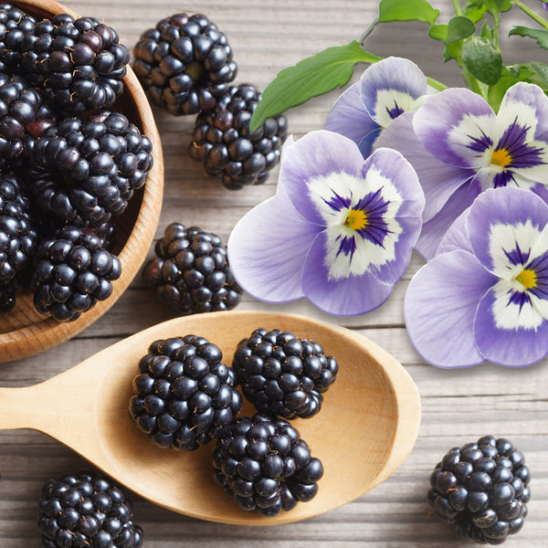 Blackberry & Sugared Violets Fragrance Oil 927